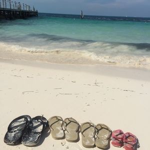 Meet your Posher, Leo